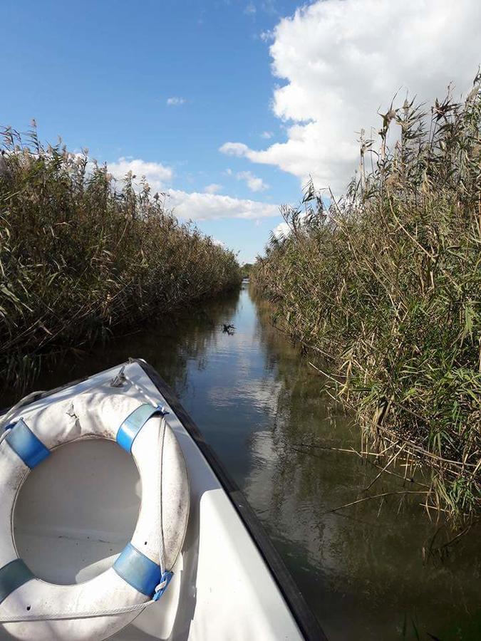 Pike Inn Dunavatul De Sus - Delta Dunarii Dunavăţu de Sus Zewnętrze zdjęcie